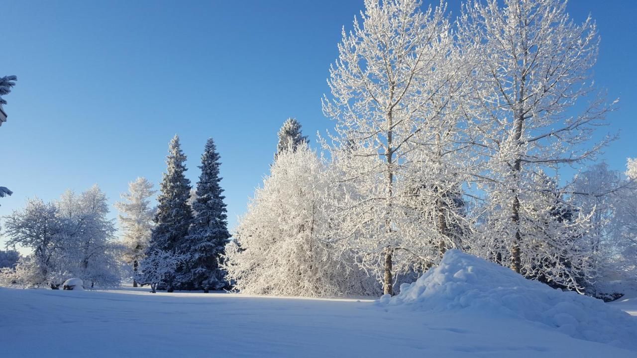 Отель Hotelli Joentalo Торнио-36